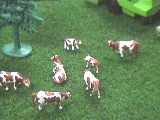 K&uuml;he auf der Wiese